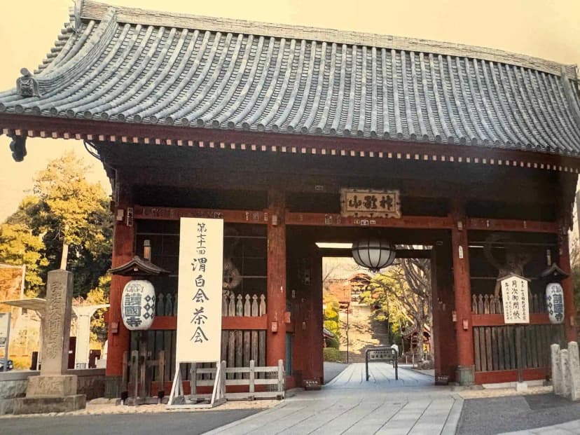 渭白会 茶会の様子